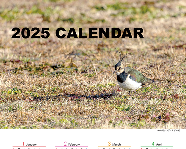 2025年のカレンダー