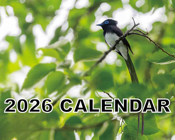 2026年のカレンダー